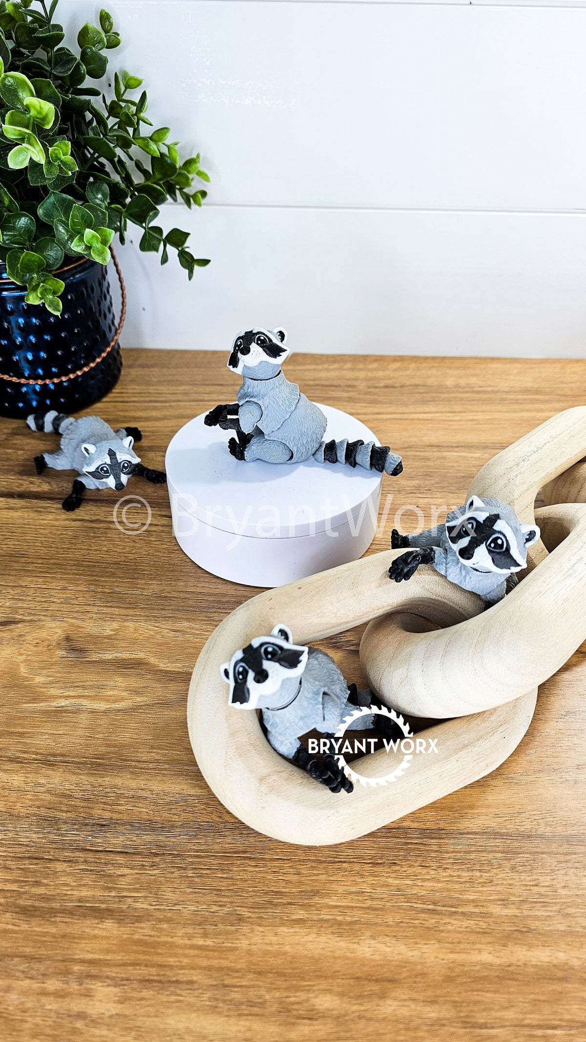 Racoon Toy | Articulated 3D Print | Kids Toy | Animal Gift | Trash Panda | Bandit