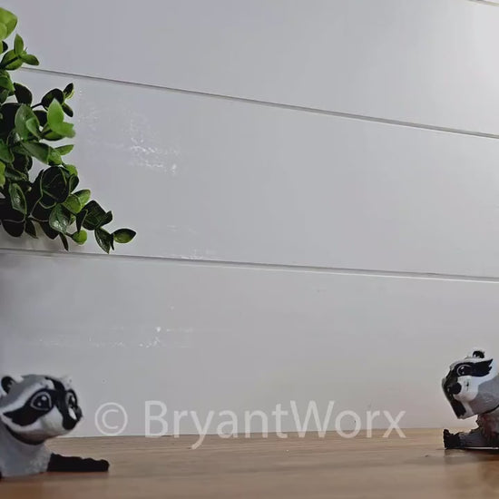 Racoon Toy | Articulated 3D Print | Kids Toy | Animal Gift | Trash Panda | Bandit