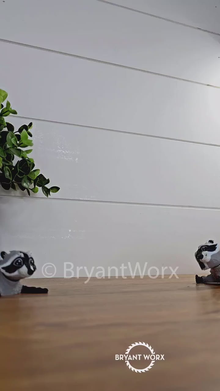Racoon Toy | Articulated 3D Print | Kids Toy | Animal Gift | Trash Panda | Bandit